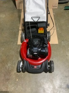 Toro Recycler 21 in. Briggs and Stratton Low Wheel RWD Gas Walk Behind Self Propelled Lawn Mower with Bagger See Pictures