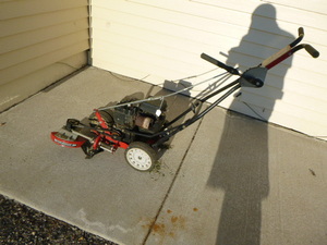 lot 29 image: MTD Edger