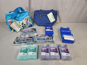 2 New Lunch Bags and New Assorted Ice Packs