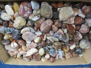 lot 55 image: BOX OF AGATES ( OVER 10 LBS)