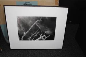 lot 651 image: Sutter Road Birch by Heidi Johnson Signed Wall Art , FramedSingle Matte