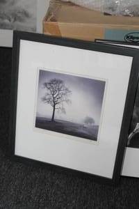 lot 652 image: In Just Spring by Richard Calvo Signed Wall Art , FramedSingle Matte