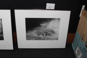 lot 653 image: Forgotten Orchard by Heidi Johnson Signed Wall Art , FramedSingle Matte