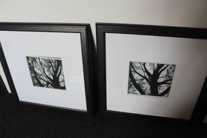 lot 658 image: Lot of (2) Trees Framed Wall Art