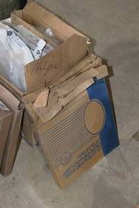 lot of toilet seats