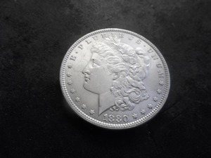 1880 Morgan Silver Dollar