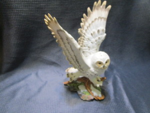 Vintage Arctic Flight - Owl from Ho...