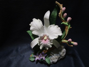 Marys Floral Collection - Cattleya...