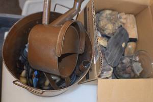 Garden decor and fossiles