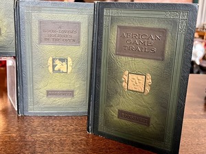 Set of 12 Beautiful Vintage Books by Theodore Roosevelt