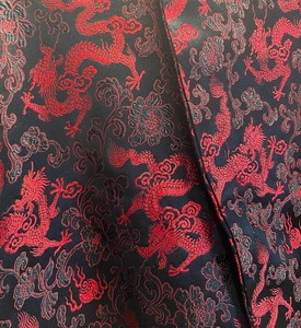 Stunning Asian Silk Robe