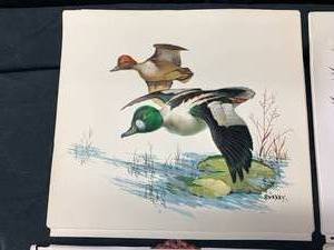 lot 81 image: Vintage 1970s Formcraft Vacuum Form 3D Print - Game Birds