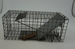 lot 17 image: Live Trap