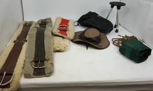 lot 73 image: Horse Accessories