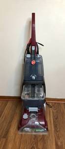 lot 365 image: Hoover Power Scrub Deluxe