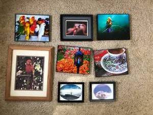 lot 97 image: 8 Travel & Wildlife Framed Photos