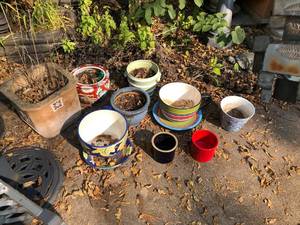 lot 732 image: Group of Ceramic Planters