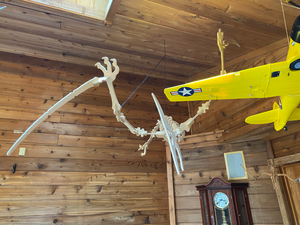 lot 459 image: 2 Wooden Dinosaur Pterodactyl Hanging Models