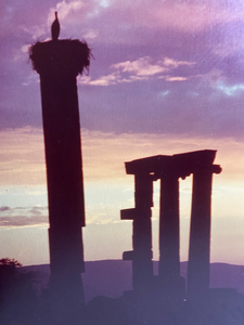 lot 558 image: 2 Photographs of Nature