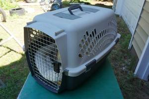lot 42 image: Plastic Pet Carrier  Kennel