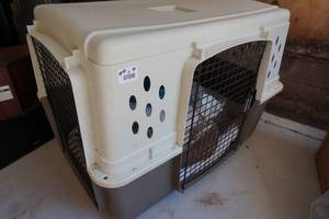 lot 45 image: Pet Lodge Plastic Pet Carrier  Kennel