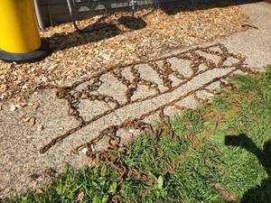 Lot of (2) Tractor Show Chains