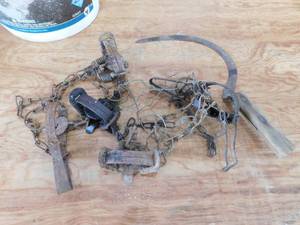 lot 171 image: 5  Hunting Traps