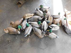 lot 179 image: 18 - Assorted Duck decoys & Carrying Bag