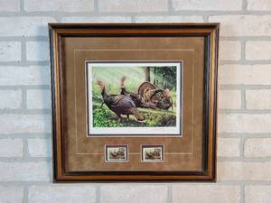 2002 Minnesota Wild Turkey Stamp Signed  Framed Print #8 of 165 - Artist David Chapman - 18 x 17