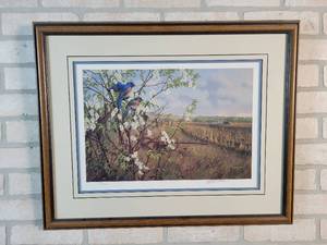 Springtime Blues - Bluebirds Signed  Framed Print #370 of 750 - Artist Michael Sieve - 25.5 x 20.5