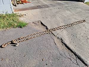 lot 1017 image: 12 Log Chain w 2 Hooks - About 20 Long - NO SHIPPING