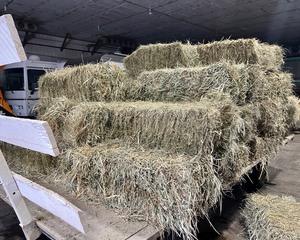 2022 Grass Hay Bales (20)