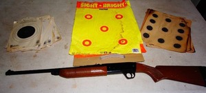 Vintage BB Gun and Targets