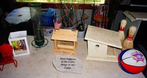 A Lot for the Birds, for the Cabin, for the Squirrels etc.