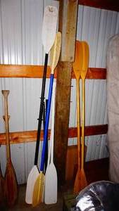 Variety of Oars