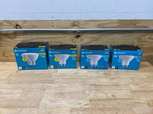 lot 75 image: ECOSMART Various Light Bulbs