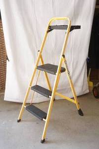 lot 106 image: ladder