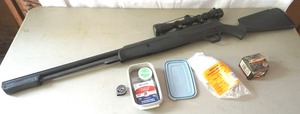 lot 201 image: synergism pellet rifle