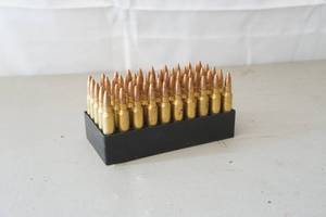 lot 267 image: 50 rounds .223 ammo