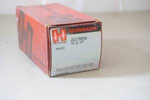 lot 276 image: 50 rounds .223 ammo