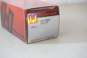lot 278 image: 50 rounds .223 ammo