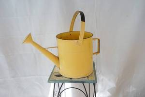 lot 596 image: watering can