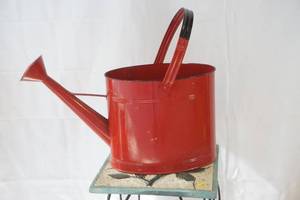 lot 597 image: watering can
