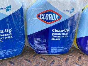 Clorox Clean-Up