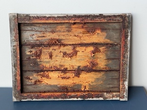 lot 76 image: Bee Honeycomb Wall Art