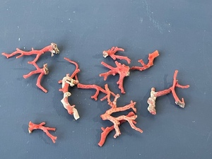 lot 116 image: Coral