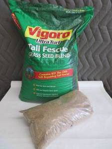 20 LBS VIGORO FESCUE GRASS SEED