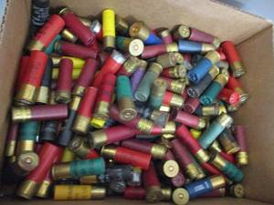 Assorted Shotgun Shells