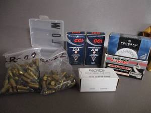 22 Caliber Cartridges Assorted