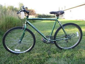Magna Power Climber Bike